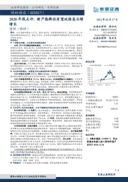 2020年报点评:新产能释放有望延续高业绩增长