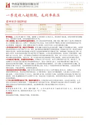 一季度收入超预期，毛利率承压