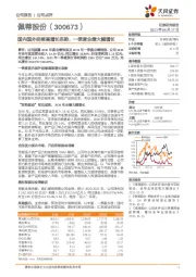 国内国外延续高增长态势，一季度业绩大幅增长