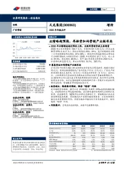 2020年年报点评：业绩略超预期，再融资加码营销产业链布局