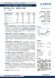 2020年年报点评:盈利拐点已现,高镍龙头启航