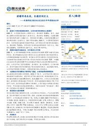 2020年年度报告点评：前瞻布局未来，长期空间巨大