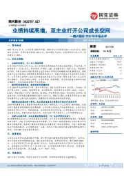 南兴股份2020年年报点评：业绩持续高增，双主业打开公司成长空间