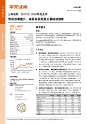 2020年报点评：营收逐季提升，凝胶贴膏剂是主要驱动因素
