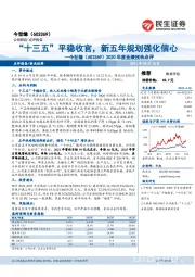 2020年度业绩预告点评：“十三五”平稳收官，新五年规划强化信心