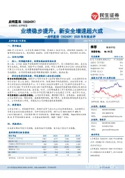 2020年年报点评：业绩稳步提升，新安全增速超六成