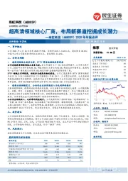 2020年年报点评：超高清领域核心厂商，布局新赛道挖掘成长潜力