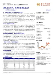 20年及21Q1业绩点评：聚焦电池材料，搭乘新能源高速列车