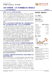 2020年年报业绩点评：2020业绩亮眼，CIS多领域爆发助力持续成长