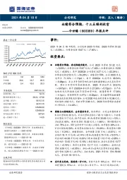 年报点评：业绩符合预期，十三五顺利收官