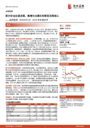 2020年年报点评:新兴安全加速发展,高增长业绩目标彰显发展信心