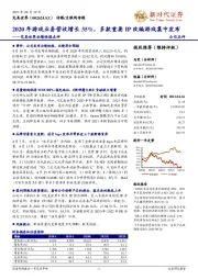 完美世界业绩快报点评:2020年游戏业务营收增长35%,多款重要IP改编游戏集中发布