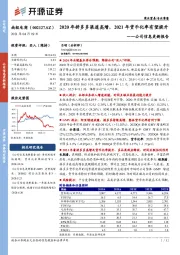 公司信息更新报告：2020年拼多多渠道高增，2021年货币化率有望提升