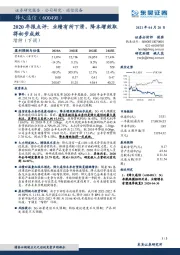 2020年报点评：业绩有所下滑，降本增效取得初步成效