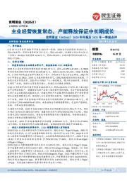 2020年年报及2021年一季报点评:主业经营恢复常态,产能释放保证中长期成长
