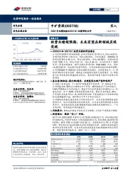2020年业绩快报&2021Q1业绩预告点评:经营业绩超预期,未来有望在新领域实现突破