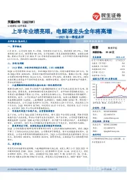 2021年一季报点评:上半年业绩亮眼,电解液龙头全年将高增