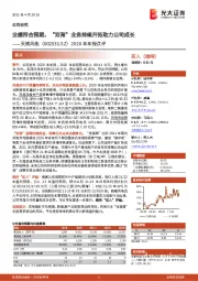 2020年年报点评:业绩符合预期,“双海”业务持续开拓助力公司成长