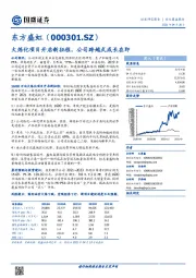 大炼化项目开启新征程，公司跨越式成长在即