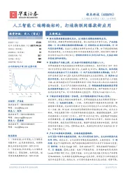 人工智能系列报告（五）：人工智能C端稀缺标的，打造物联网爆款新应用