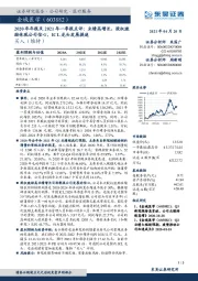 2020年年报及2021年一季报点评:业绩高增长,股权激励体现公司信心,ICL龙头发展提速