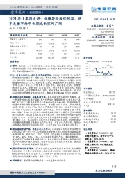 2021年1季报点评:业绩符合我们预期,进军美瞳市场中长期成长空间广阔