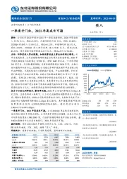 一季度开门红,2021年高成长可期