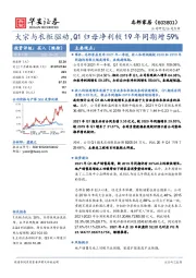 大宗与衣柜驱动，Q1归母净利较19年同期增59%