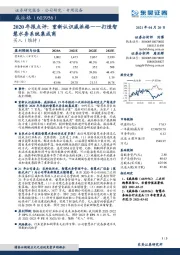 2020年报点评：重新认识威派格——打造智慧水务系统集成商