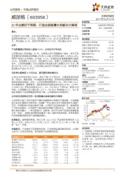 20年业绩好于预期，打造全面智慧水务解决方案商