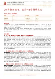 20年靓丽收官,医疗+消费持续发力