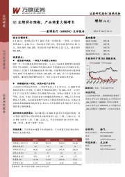 点评报告:Q1业绩符合预期,产品销量大幅增长