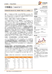 商誉减值暂时影响净利润，精炼糖产能提升助力业绩稳步上行