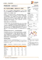 核心产品实现大幅增长，盈利能力进一步提升