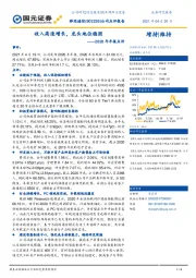 2020年年报点评:收入高速增长,龙头地位稳固