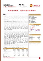 引领行业增长，高分红彰显经营信心