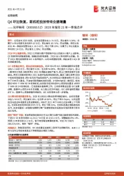 2020年报及21年一季报点评：Q4环比恢复，新机柜投放带来业绩增量