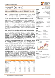 国际业务实现跨越式发展，农药原药大幅增长提升整体业绩