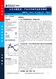 2020年报及2021一季报点评:公司业绩复苏,产品与市场开发有序推进