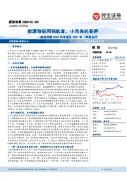 威胜信息2020年年报及2021年一季报点评：能源物联网领航者，小而美的春笋