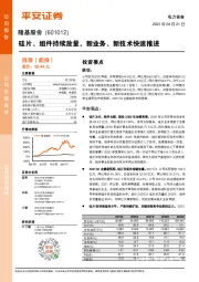 硅片、组件持续放量，新业务、新技术快速推进