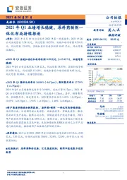 2021年Q1业绩增长稳健，原料药制剂一体化布局持续推进