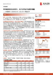 2021年一季报点评：特种橡胶助剂业务回升，电子化学品开始提供增量