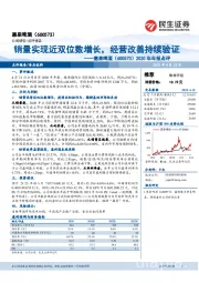 2020年年报点评：销量实现近双位数增长，经营改善持续验证