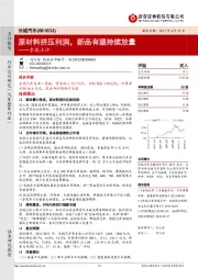 季报点评：原材料挤压利润，新品有望持续放量