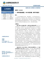原料药基础稳固,CDMO快速放量,制剂开始盈利