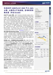 2020年及1Q21业绩:业绩符合市场预期,重磅新药持续放量(附会议纪要)