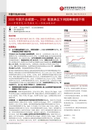 中国中免20年报及21一季报业绩点评:2020年跃升全球第一,21Q1客流承压下利润率表现不俗
