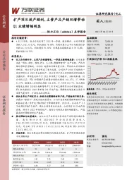 点评报告：扩产项目投产顺利，主营产品产销双增带动Q1业绩增幅明显