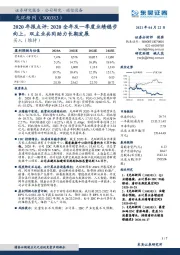 2020年报点评:2020全年及一季度业绩稳步向上,双主业共同助力长期发展
